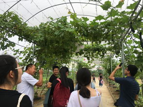 深化專業(yè)認知，筑牢安全基石——記四年制高職本科食品質(zhì)量與安全專業(yè)農(nóng)產(chǎn)品安全生產(chǎn)認知實習