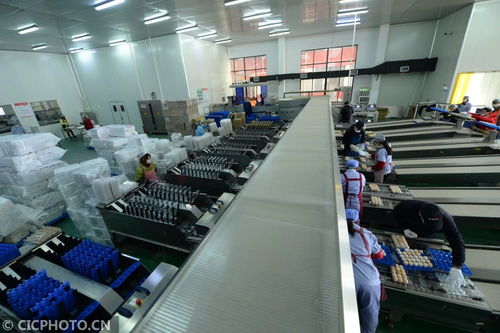 太倉農(nóng)產(chǎn)品生產(chǎn)穩(wěn)定，市場供應有保障