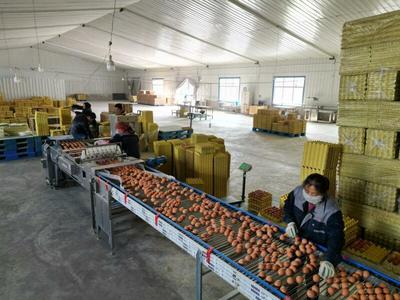 甘味農產品企業商標品牌與農產品生產的協同發展