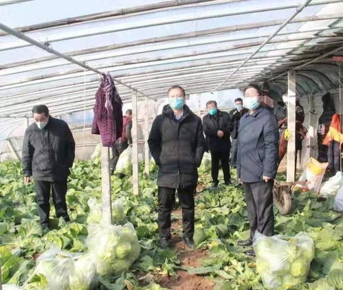 筑牢農產品供應保障線——臨沂市農業農村局督導莒南縣穩產保供工作